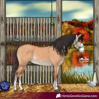 Horse Color:Bay Dun 