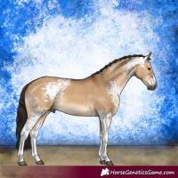 Horse Color:Gray White Spotted Bay Dun