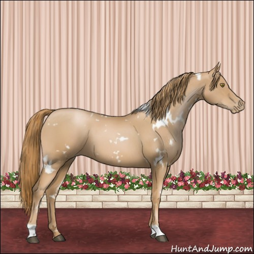 Horse Color:White Spotted Chestnut Pearl 