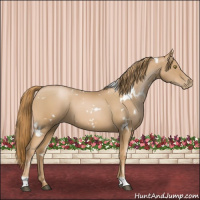Horse Color:White Spotted Chestnut Pearl 