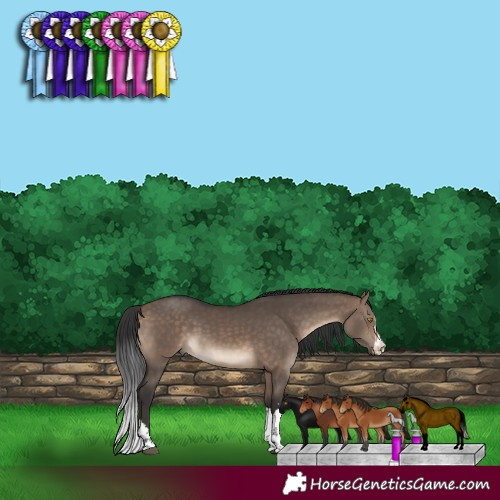 Horse Color:Bay Dun