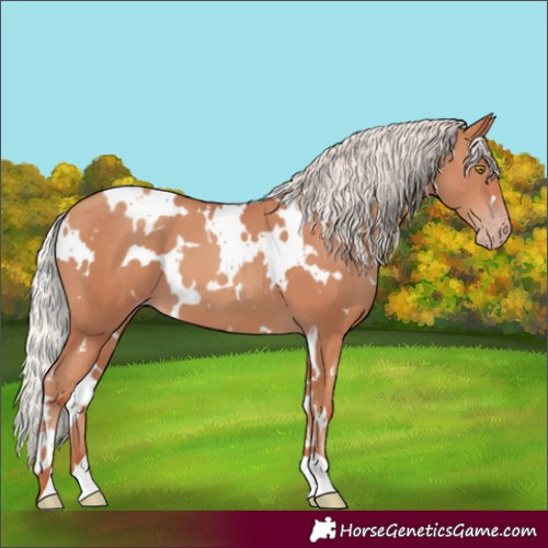 Horse Color:White Spotted Silver Sable Champagne 