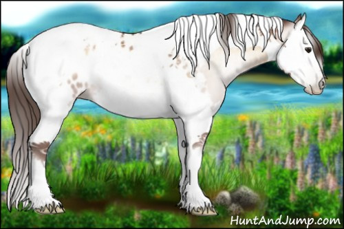 Horse Color:Gray Brown Pearl Onyx Splash Tobiano Appaloosa 