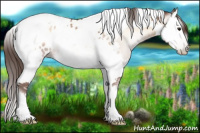 Horse Color:Gray Brown Pearl Onyx Splash Tobiano Appaloosa 