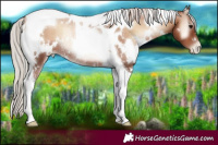 Horse Color:White Spotted Silver Blue Onyx Pearl Tobiano Rabicano