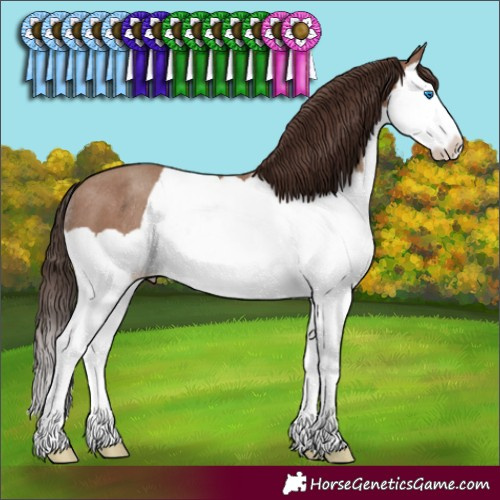 Horse Color:Classic Champagne Splash Rabicano 