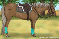 Horse Color:Chocolate Palomino 