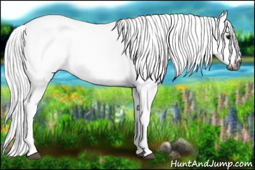 Horse Color:Gray Watercolor Bay Splash