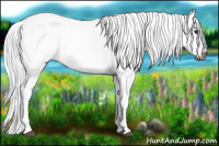 Horse Color:Gray Watercolor Bay Splash 