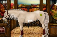 Horse Color:Chocolate Palomino Pearl Frame  and Chocolate Palomino Pearl Frame 