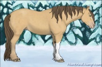 Horse Color:Amber Cream Champagne 
