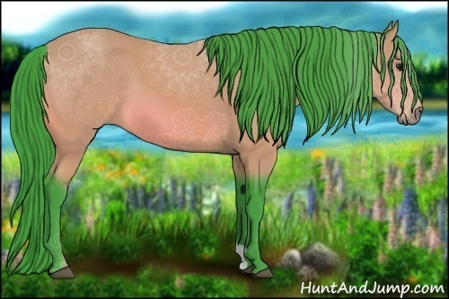 Horse Color:Watercolor Buckskin 