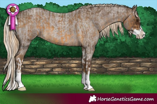 Horse Color:Chocolate Palomino Splash  and Chocolate Palomino Roan Splash 