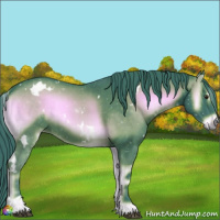 Horse Color:Watercolor White Spotted Liver Red Onyx