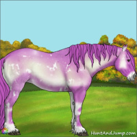 Horse Color:Watercolor White Spotted Liver Red Onyx