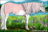 Horse Color:Watercolor Silver Amber Champagne Dun Splash 