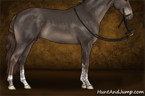 Horse Color:Liver Chestnut Tobiano 