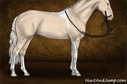 Horse Color:Cremello Tobiano Rabicano 