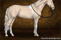 Horse Color:Cremello Tobiano Rabicano 