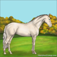 Horse Color:Silver Amber Cream Champagne Pearl 