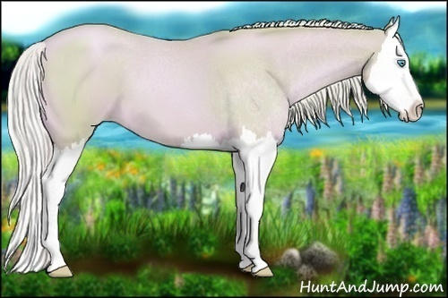 Horse Color:Watercolor Palomino Roan Pearl Splash