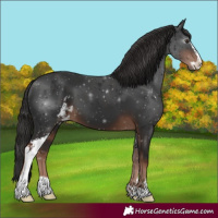 Horse Color:Liver Chestnut Sabino