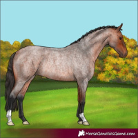 Horse Color:Bay Roan Rabicano