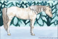 Horse Color:White Spotted Chocolate Palomino Pearl Dun 