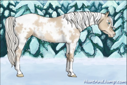 Horse Color:White Spotted Chocolate Palomino Pearl Dun 