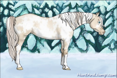 Horse Color:White Spotted Chocolate Palomino Pearl Dun