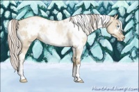 Horse Color:White Spotted Chocolate Palomino Pearl Dun 