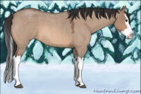 Horse Color:Brown Roan Dun Splash