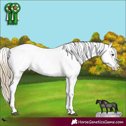 Horse Color:Red Dun Varnish