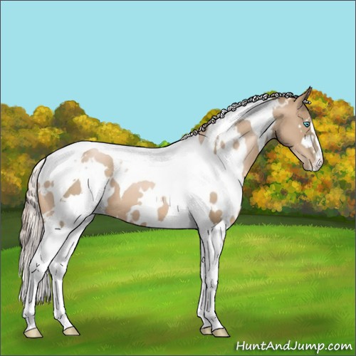 Horse Color:White Spotted Chocolate Palomino Pearl Tobiano