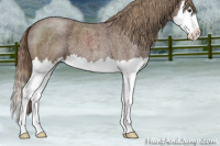 Horse Color:Liver Red Roan Splash