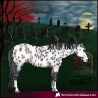 Horse Color:Platinum Brown Near Leopard 