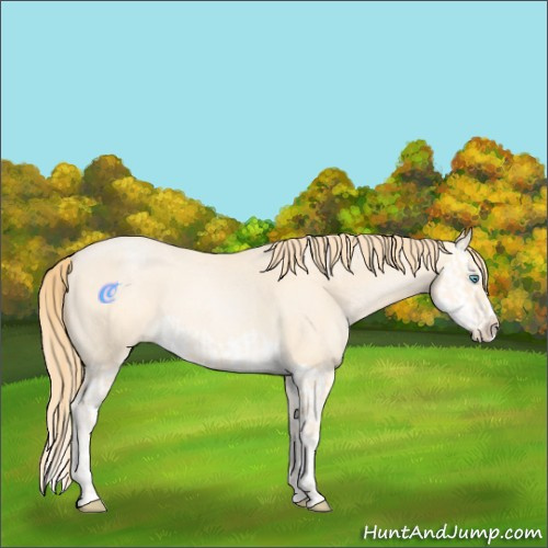 Horse Color:Buckskin Roan Pearl  and Buckskin Roan Pearl Splash 