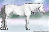 Horse Color:Black Frame 