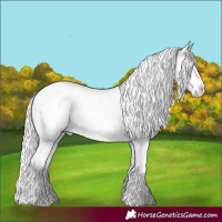 Horse Color:Silver Blue Chinchilla Roan Splash Varnish 