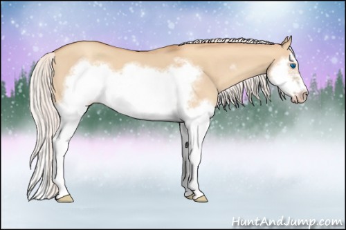 Horse Color:Silver Classic Champagne Dun Splash Frame 