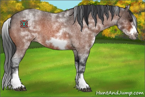 Horse Color:White Spotted Brown Roan Splash Frame 