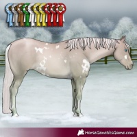 Horse Color:White Spotted Chocolate Palomino Pearl Mushroom Rabicano