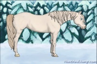 Horse Color:Perlino 