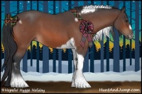 Horse Color:Brown Roan Tobiano Frame 