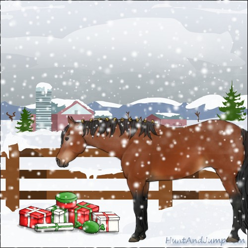 Horse Color:Gray Bay 