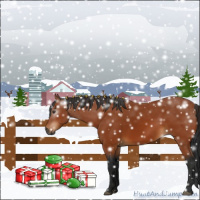 Horse Color:Gray Bay 