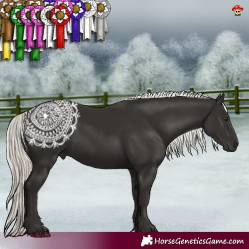 Horse Color:Liver Chestnut Mushroom