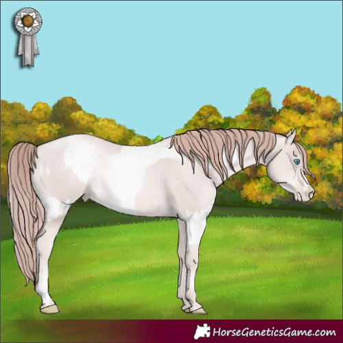 Horse Color:Platinum White Spotted Gold Champagne Pearl Sabino Rabicano  and Platinum Classic Champagne Pearl Rabicano 