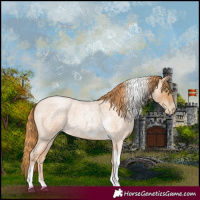 Horse Color:Red Roan Pearl Tobiano Frame 