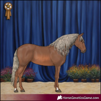 Horse Color:Chestnut Mushroom